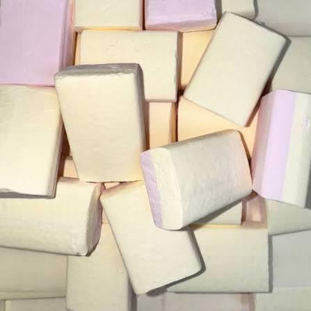 Sherbet Ice Blocks ( 10 pieces )